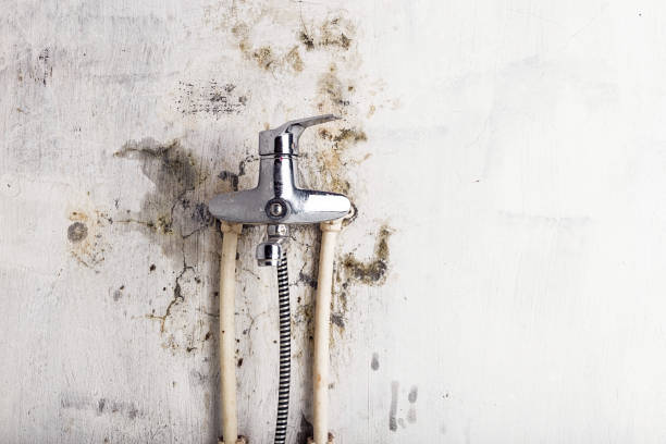 Best Bathroom Mold Remediation in Hackensack, NJ