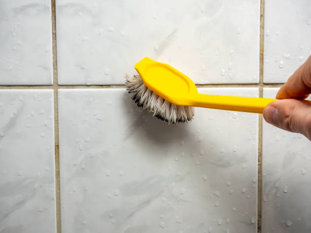 Best Mold Remediation for Specific Building Types in Hackensack, NJ