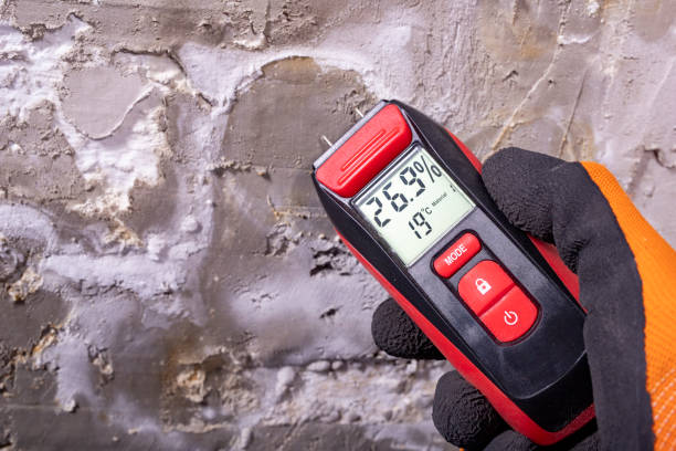 Trusted Hackensack, NJ Mold Remediation Experts