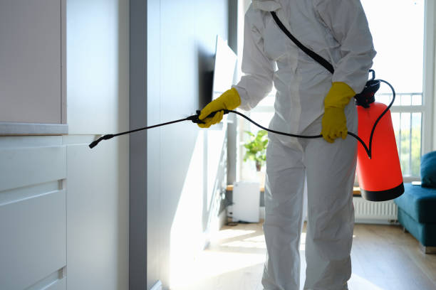 Best Mold Testing and Inspection Services in Hackensack, NJ