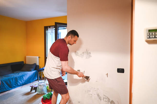 Best Mold Remediation for Specific Building Types in Hackensack, NJ
